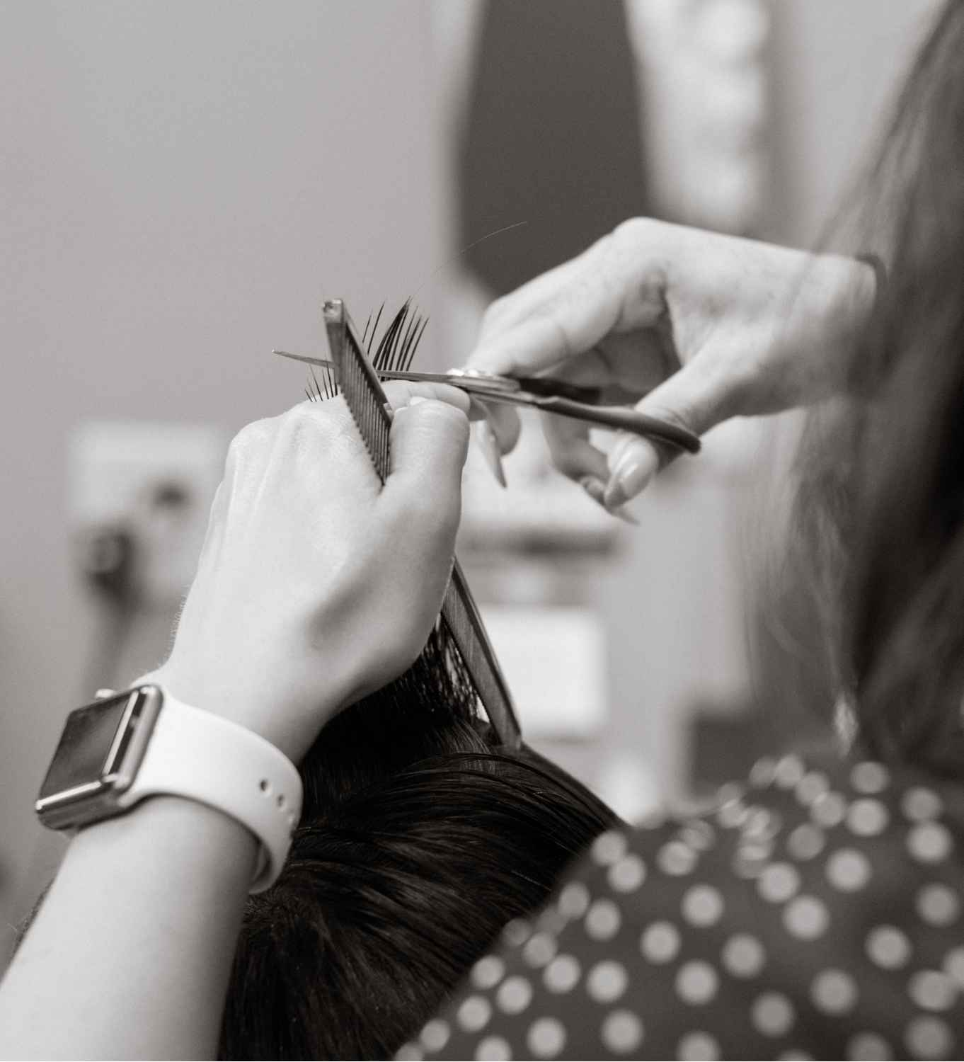 Stylist Cutting Hair